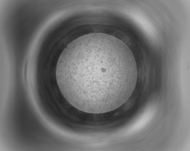 X0000101470383200807281024