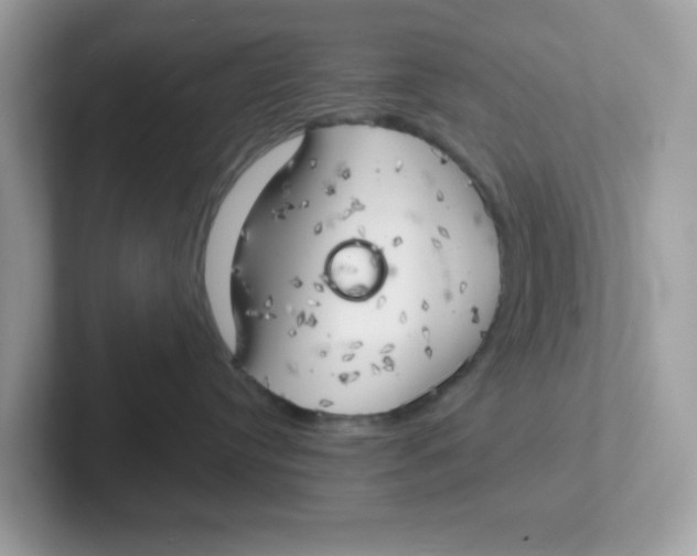 X0000101470384200807281024