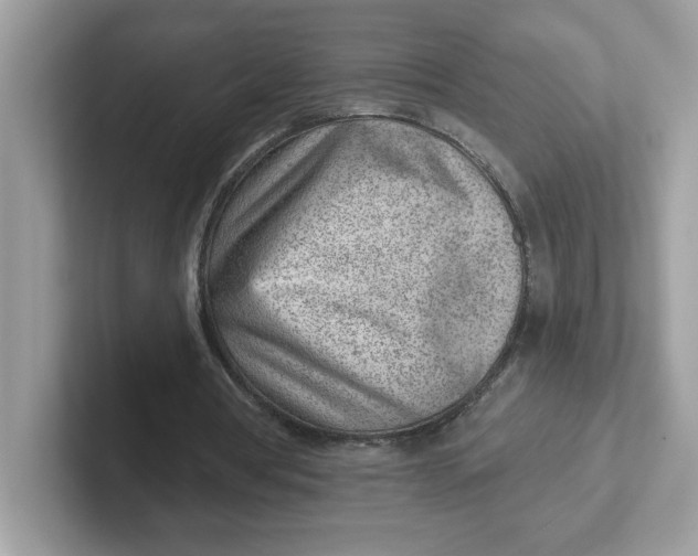 X0000101470386200807281024