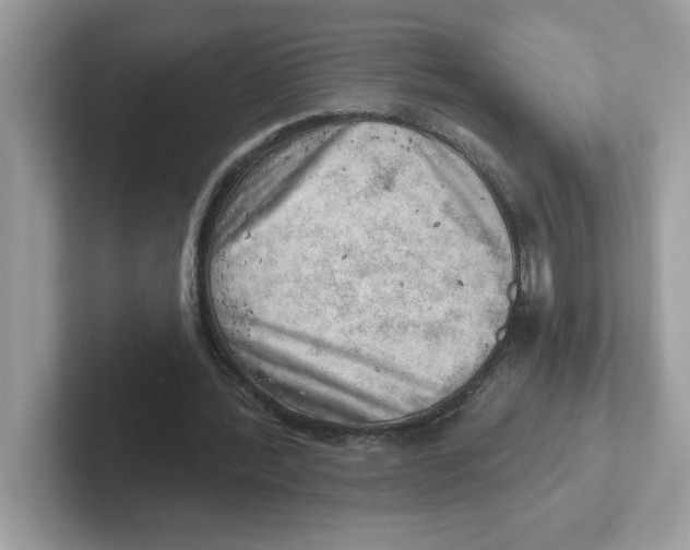 X0000101470388200807281024