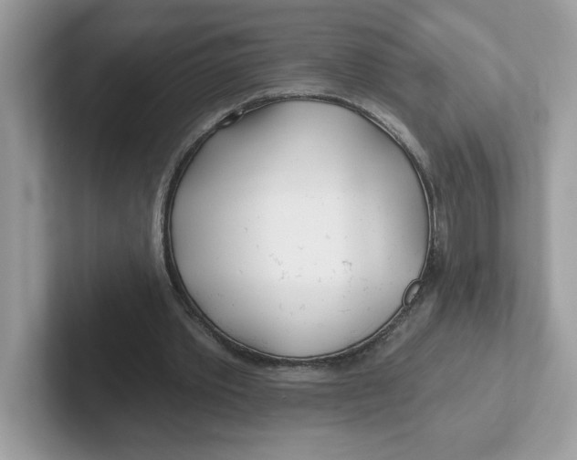 X0000101470389200807281024