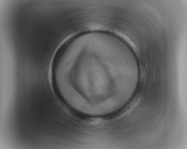 X0000101470391200807281023