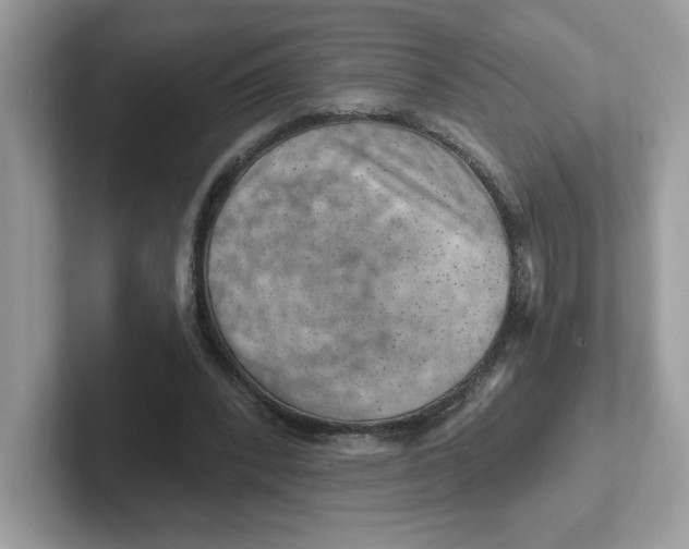 X0000101470392200807281023