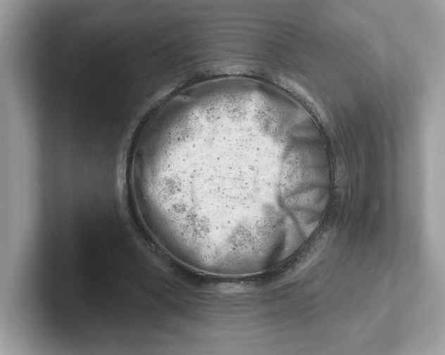 X0000101470394200807281023