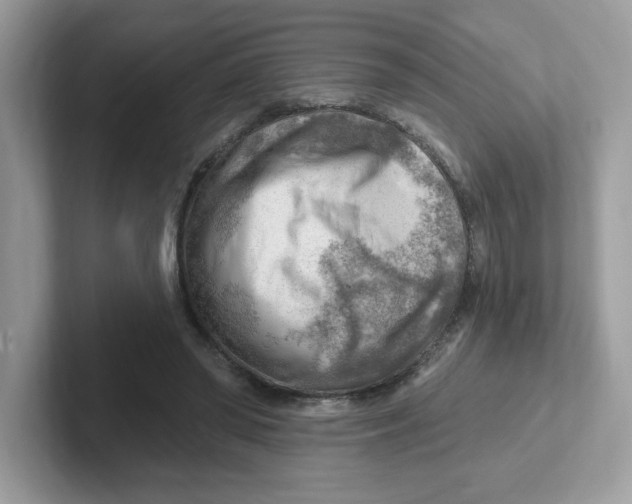 X0000101470398200807281023