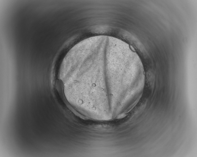 X0000101470400200807281023