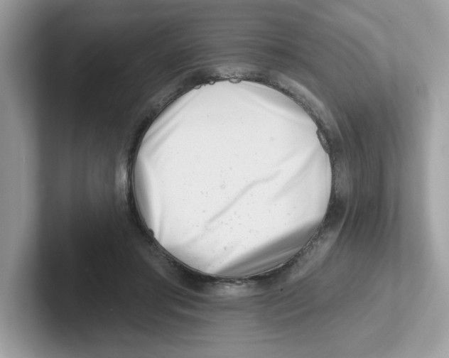 X0000101470405200807281023