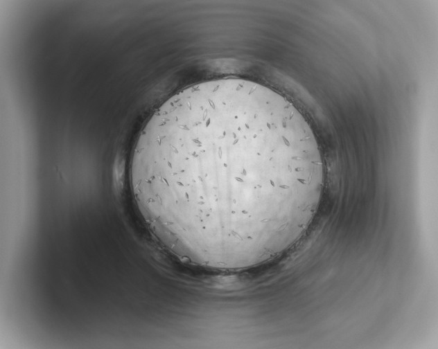 X0000101470406200807281023