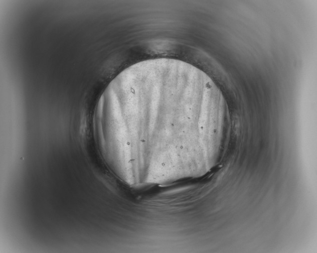 X0000101470408200807281023