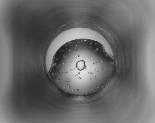 X0000101470409200807281023