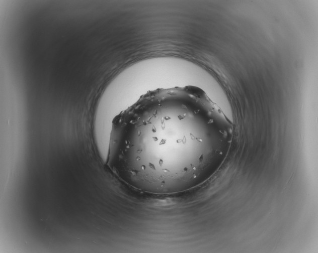 X0000101470411200807281023