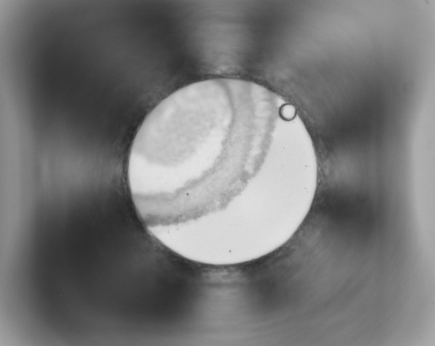 X0000101470415200807281023