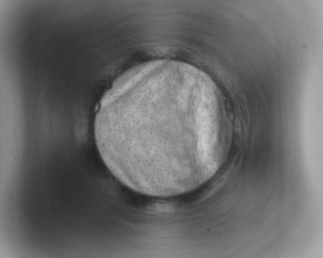 X0000101470416200807281023