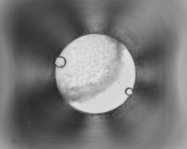 X0000101470419200807281023