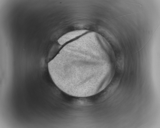 X0000101470420200807281023