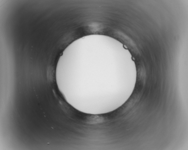 X0000101470421200807281023