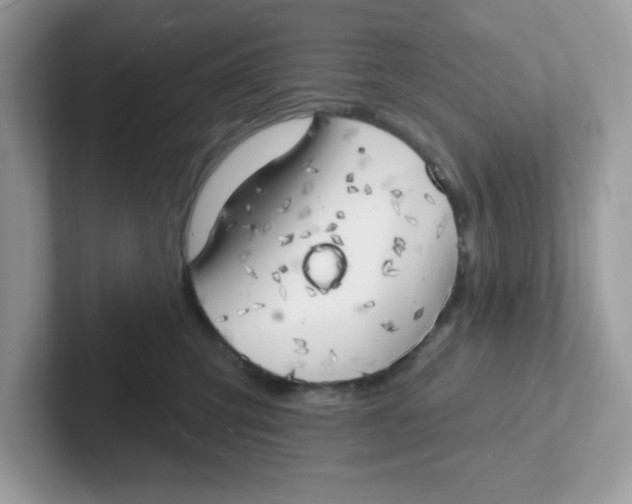 X0000101470423200807281023