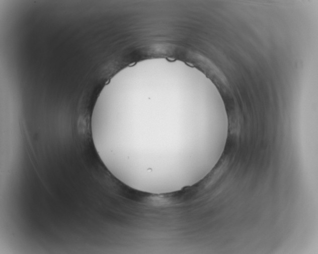 X0000101470425200807281023