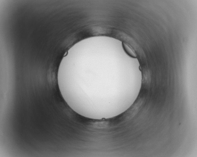 X0000101470426200807281023