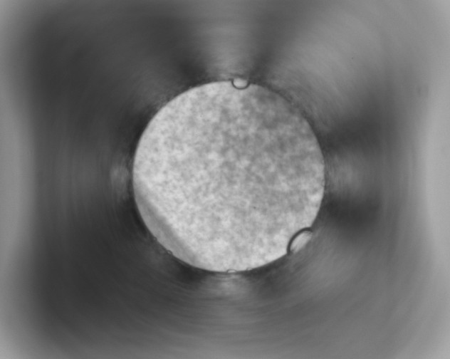 X0000101470427200807281023