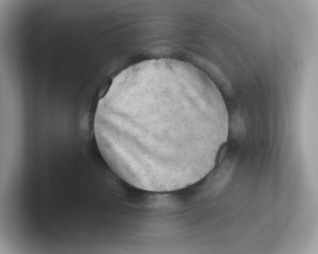 X0000101470428200807281023