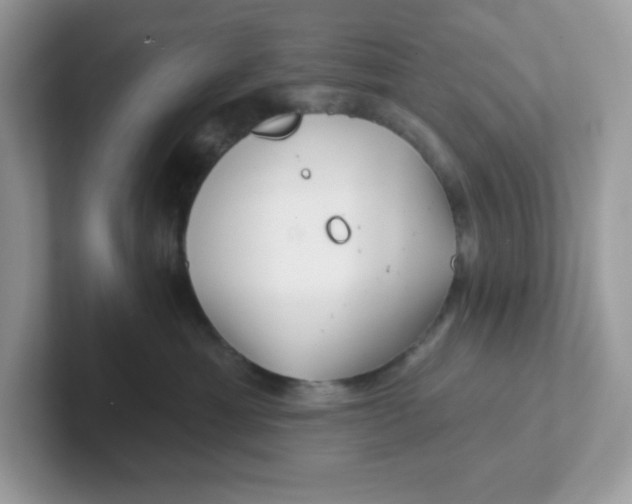 X0000101470429200807281023