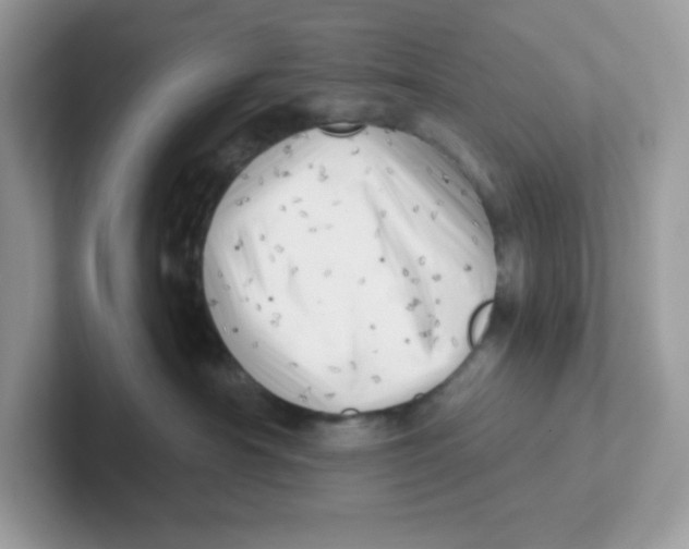 X0000101470430200807281023