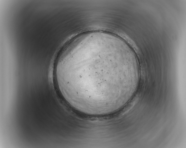 X0000101470434200807281022