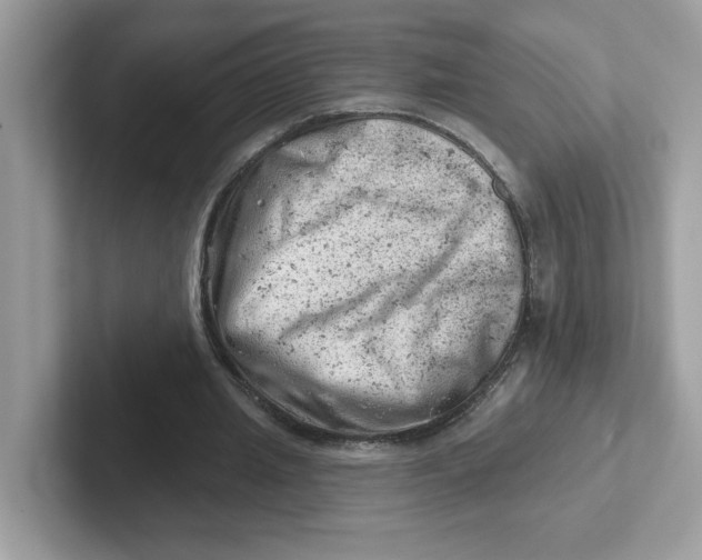 X0000101470437200807281022