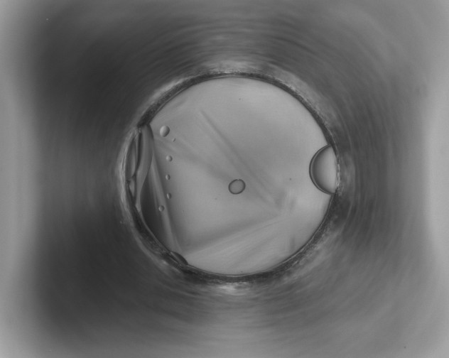 X0000101470438200807281022