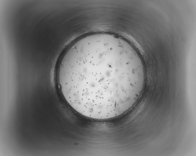 X0000101470439200807281022