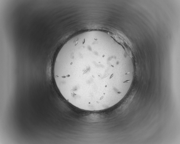 X0000101470441200807281022