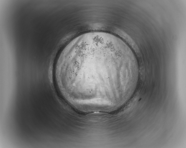 X0000101470442200807281022