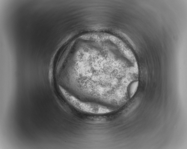 X0000101470443200807281022