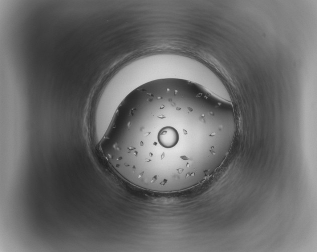 X0000101470444200807281022