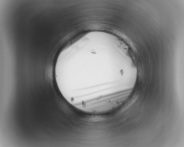 X0000101470445200807281022