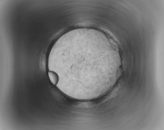 X0000101470446200807281022