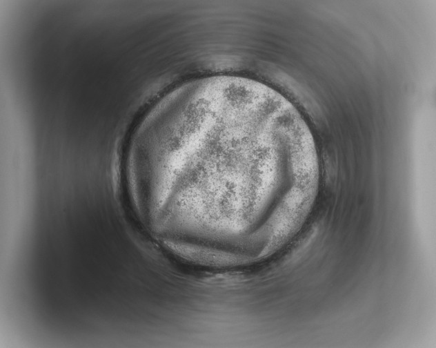 X0000101470447200807281023