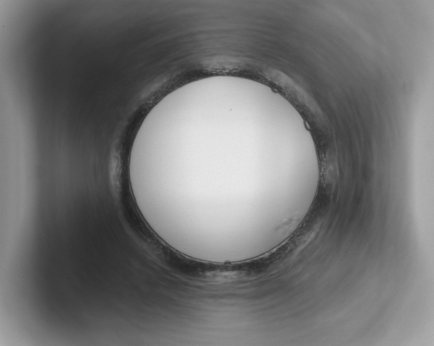 X0000101470448200807281023