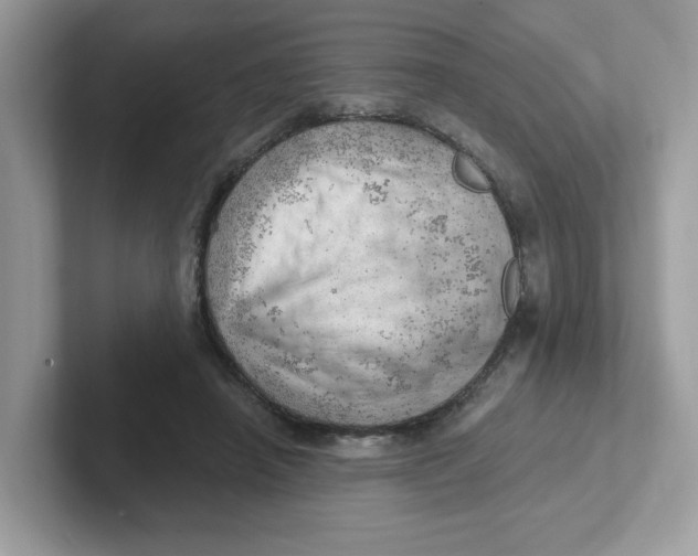 X0000101470450200807281023