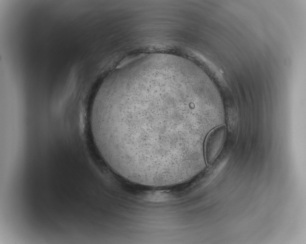 X0000101470451200807281023