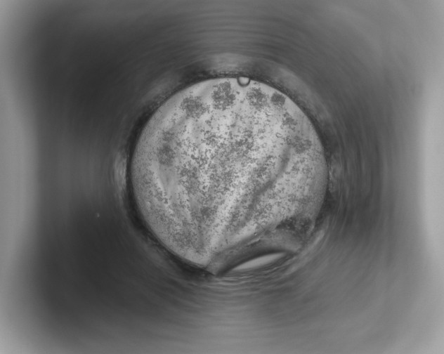 X0000101470454200807281023