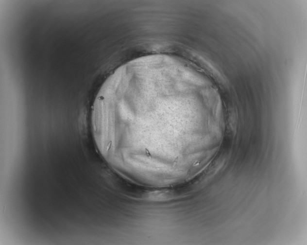 X0000101470461200807281023