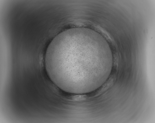 X0000101470465200807281023