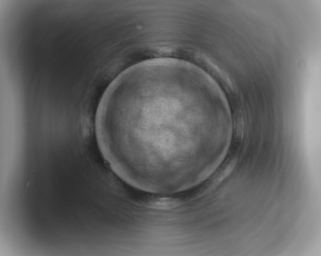 X0000101470467200807281023