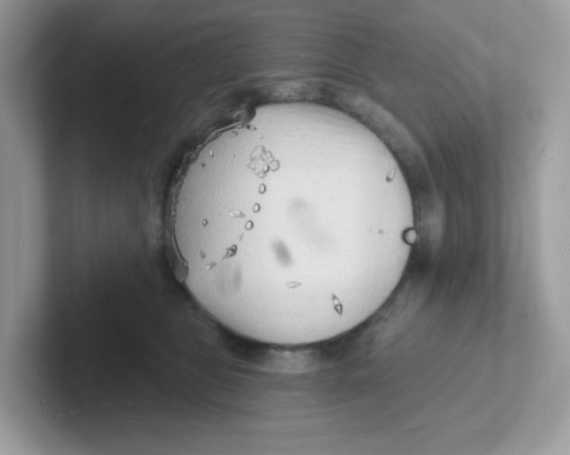 X0000101470469200807281023