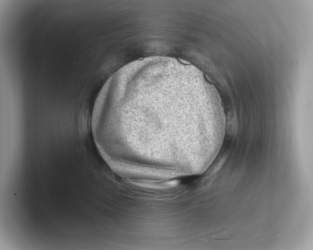 X0000101470474200807281023