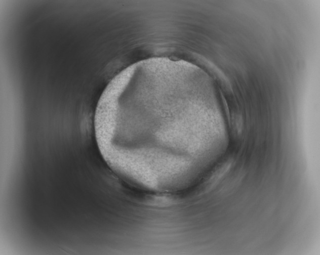 X0000101470475200807281023