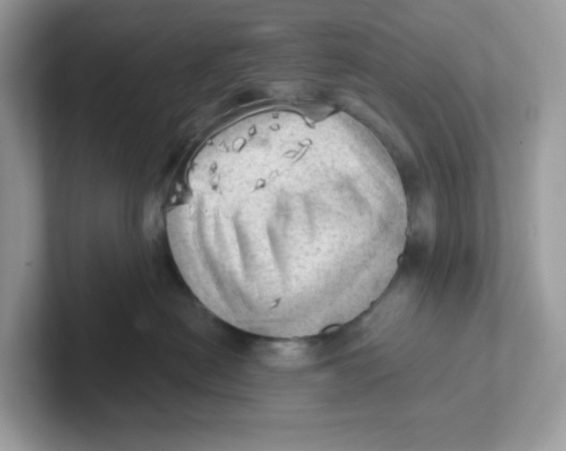 X0000101470478200807281023