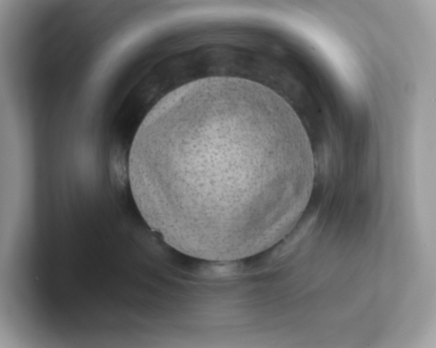 X0000101470479200807281023